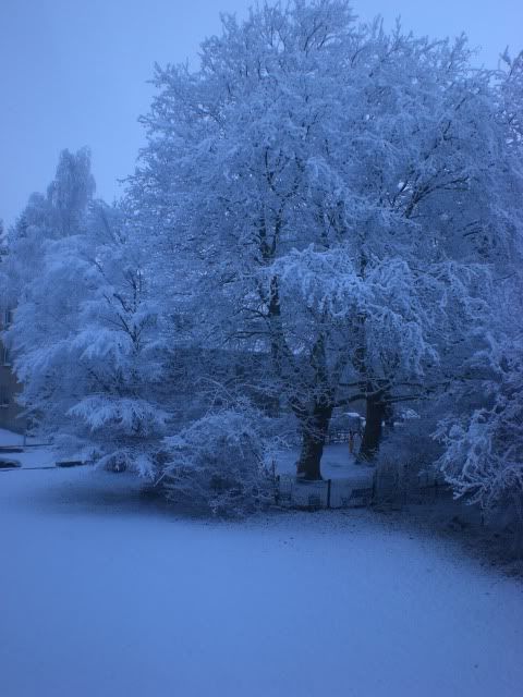 Bild; Quelle: http://i101.photobucket.com/albums/m45/wulli83/CIMG0038.jpg Bild; Quelle: http://i101.photobucket.com/albums/m45/wulli83/CIMG0038.jpg