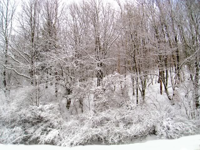 Bild; Quelle: http://i101.photobucket.com/albums/m45/wulli83/Winter1.jpg Bild; Quelle: http://i101.photobucket.com/albums/m45/wulli83/Winter1.jpg
