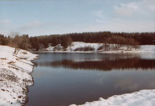 Bild; Quelle: http://i101.photobucket.com/albums/m45/wulli83/winterbild2.jpg Bild; Quelle: http://i101.photobucket.com/albums/m45/wulli83/winterbild2.jpg