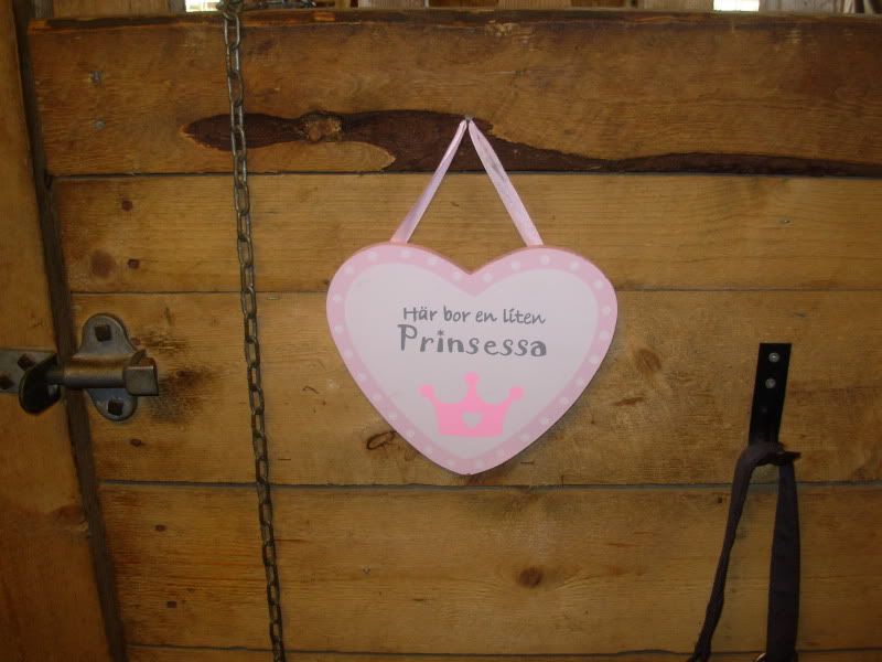 DSCN0262.jpg
