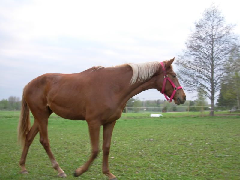 DSCN0268.jpg