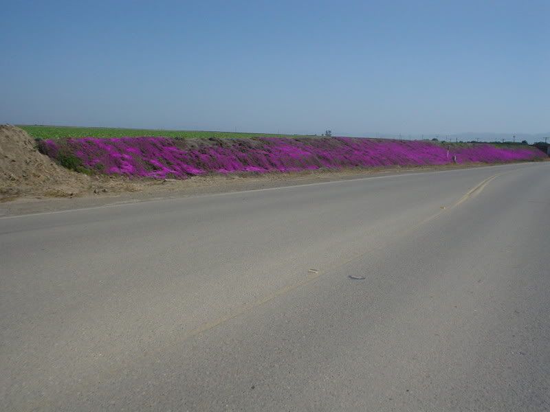 The road to Guadalupe