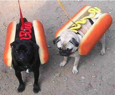 Pugs