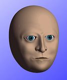 Face02Side.jpg CB Model Pro - Head2 ( Side) image by TMeeks