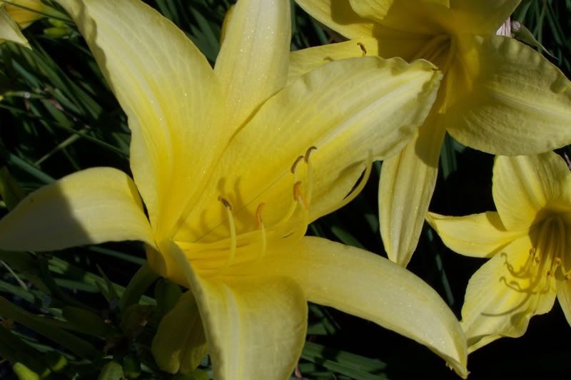100_0875.jpg