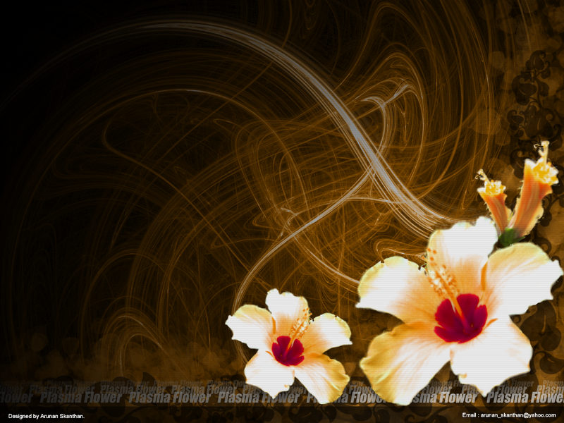 plasma wallpaper. background hawaiian flower