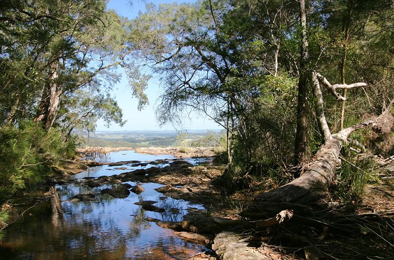 IMAGE: http://i101.photobucket.com/albums/m49/_Pleiades_/minyon1.jpg