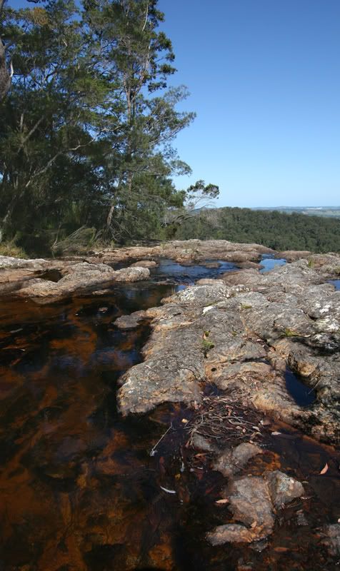 IMAGE: http://i101.photobucket.com/albums/m49/_Pleiades_/minyon2.jpg