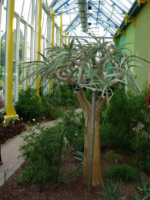 DSCN2831.jpg