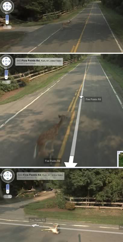 Did-Google-Kill-Bambi.jpg