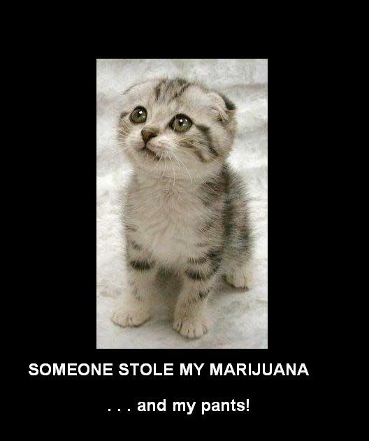 Marijuana.jpg