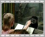 funny monkey videos. Photobucket | funny monkey Videos