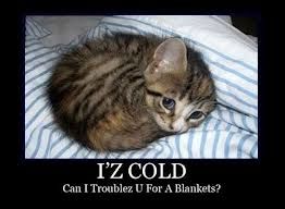  photo coldkitty_zps662f39e8.jpg