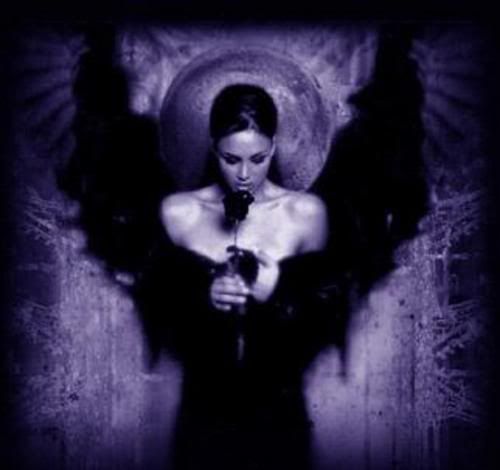 gothic angels Pictures Images and Photos 
