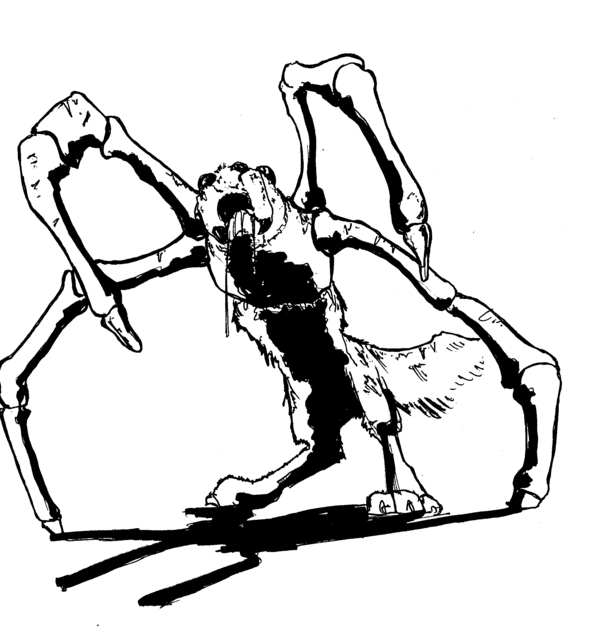 meatWolfSpider.png