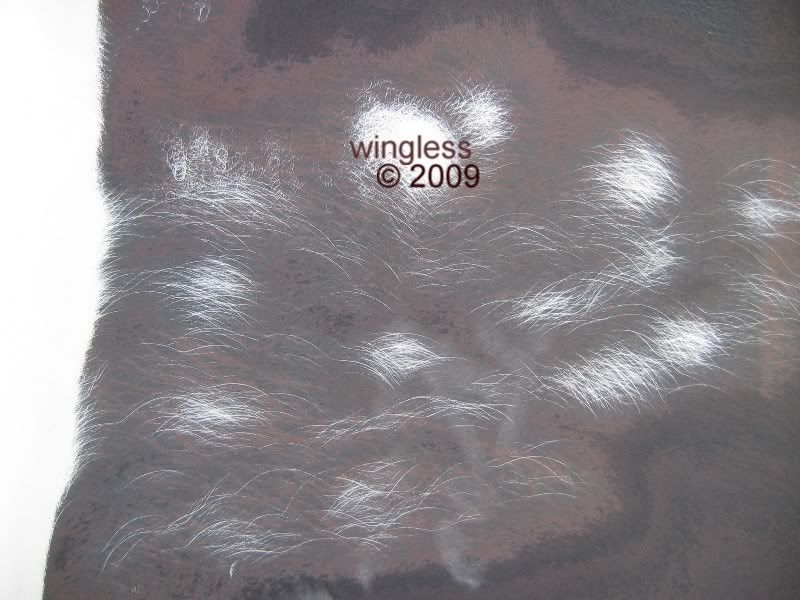 Removing antifouling paint and restoring original gel coat! The Hull