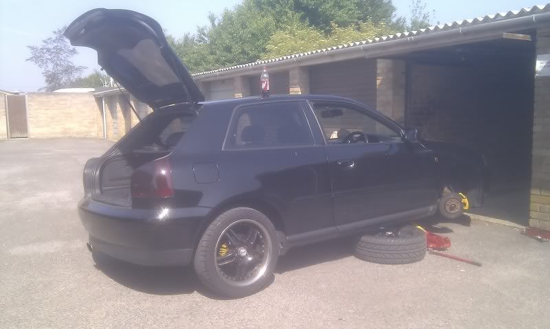 [Image: IMAG0236_zpsa28a9ed9.jpg]