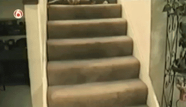 1349381003.gif
