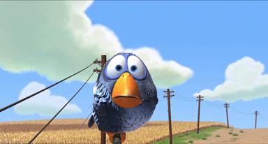 birds-on-the-wire.gif