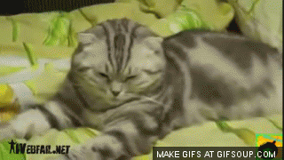 boop_boop.gif