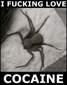 funny_animated_gif_6.gif