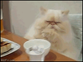 funny_animated_gif_9998.gif