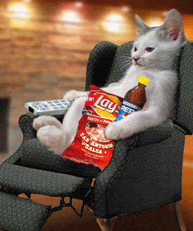 tumblr_l0frtpHU2j1qz7q2t.gif