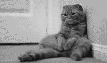 tumblr_m52f1mB8Mx1r302kmo1_400.gif