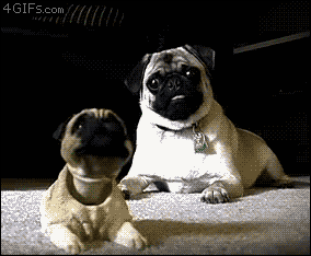 tumblr_mctzfxIF9c1rvn6njo1_400.gif
