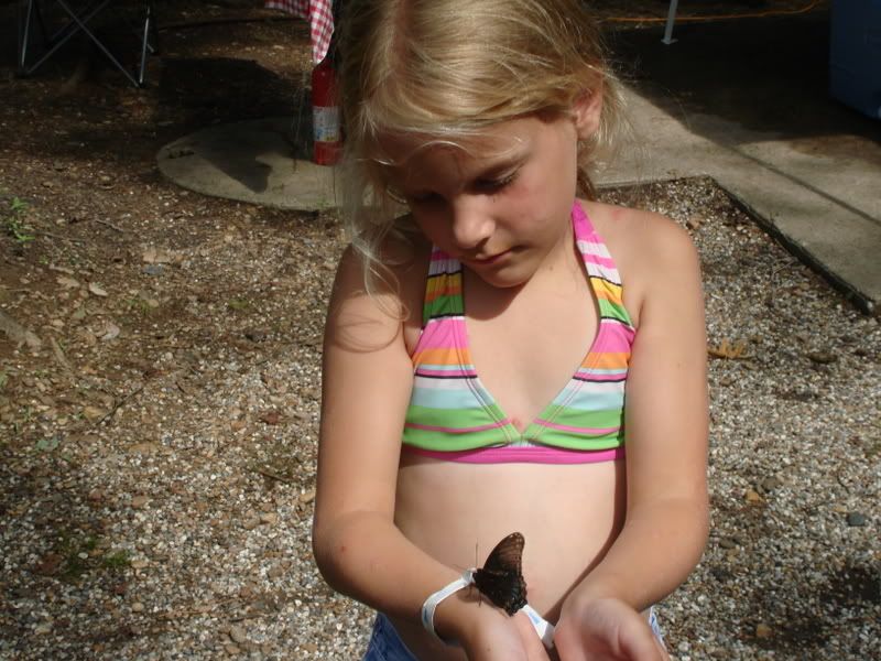 Sis with wounded butterfly