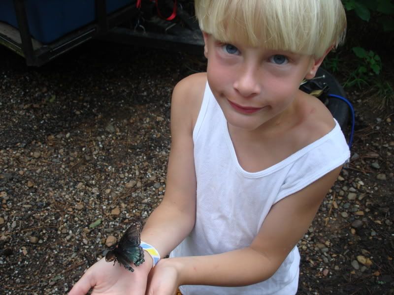 Ry with wounded butterfly