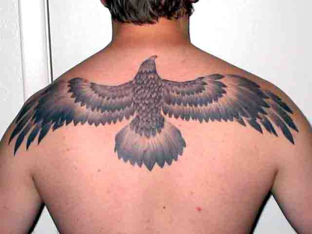 eagles tattoo. Eagle Tattoo Astonishing