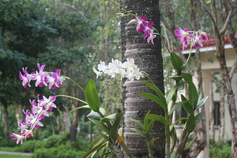 IMAGE: http://i101.photobucket.com/albums/m56/tania622/IMG_0152.jpg