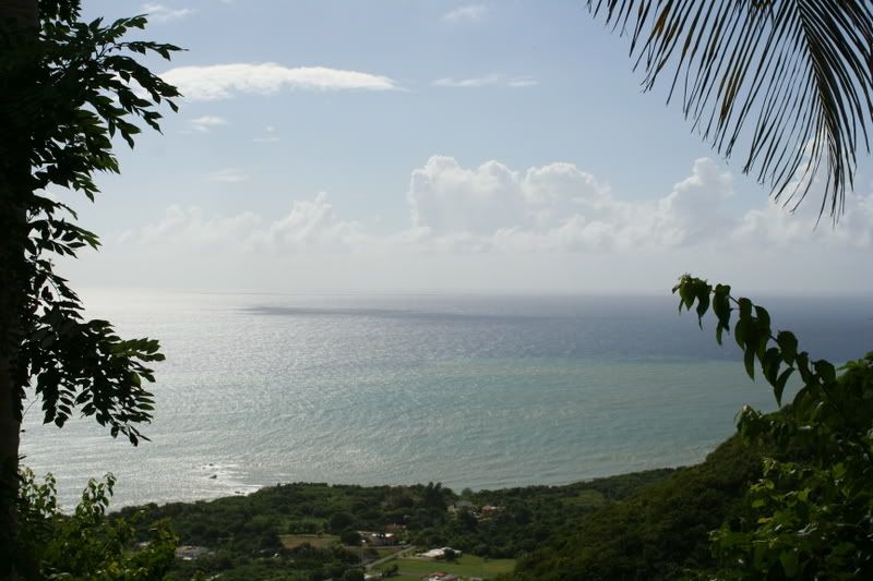 IMAGE: http://i101.photobucket.com/albums/m56/tania622/IMG_0200.jpg