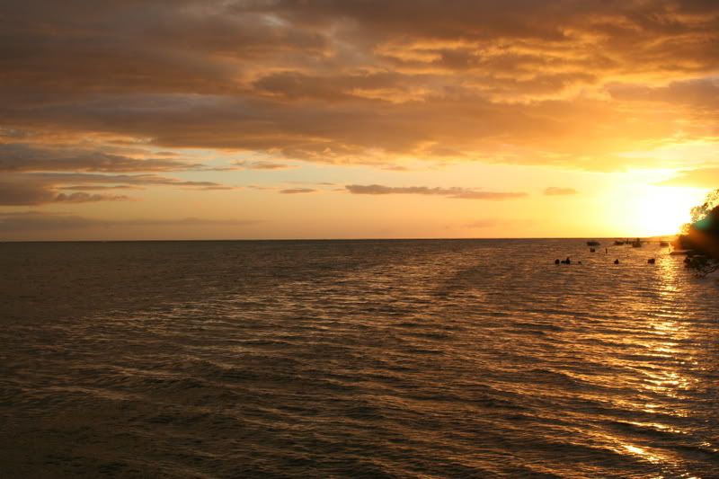 IMAGE: http://i101.photobucket.com/albums/m56/tania622/IMG_0241.jpg