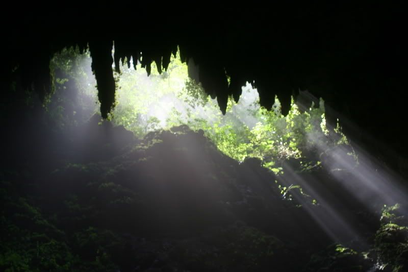 IMAGE: http://i101.photobucket.com/albums/m56/tania622/IMG_0356.jpg