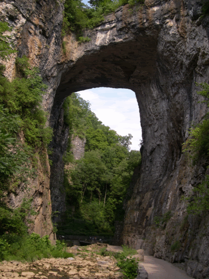 IPB Image
