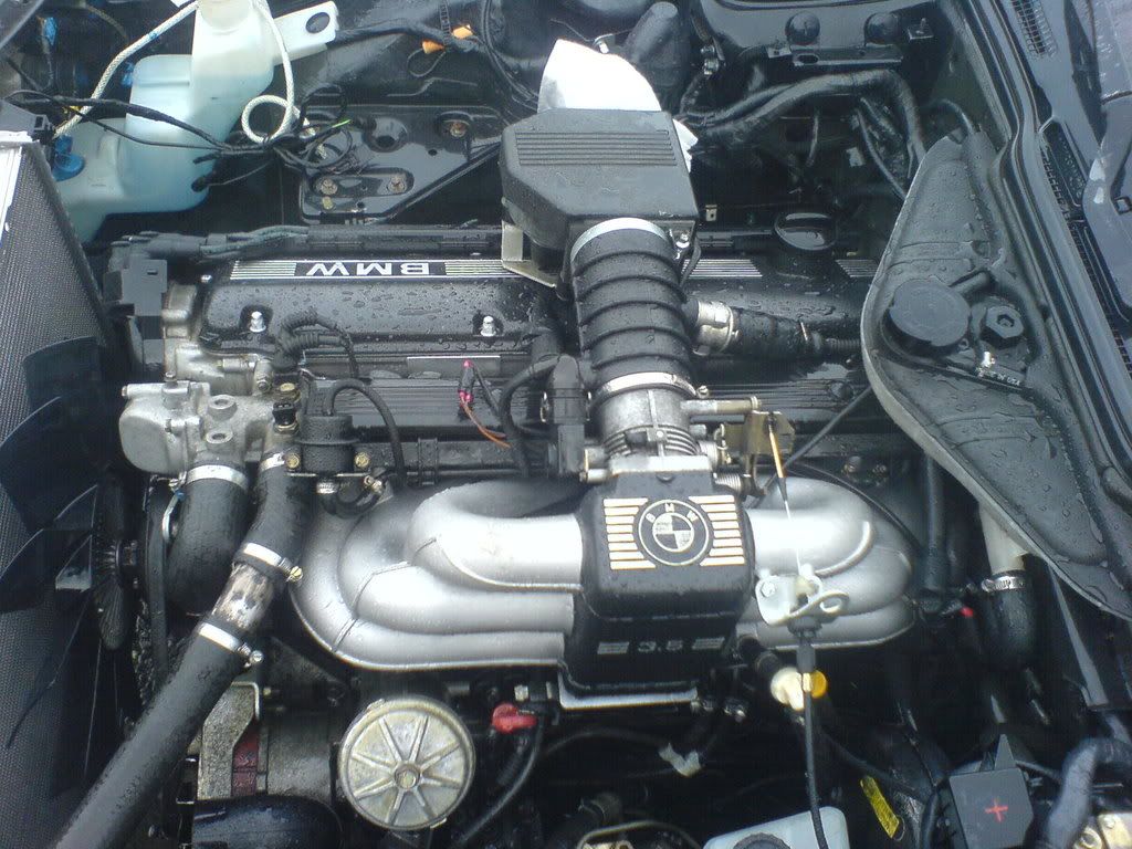 DSC01034.jpg
