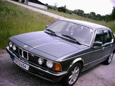 delphin-metallic01.jpg