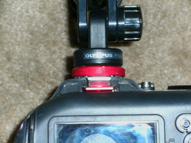004-1.jpg