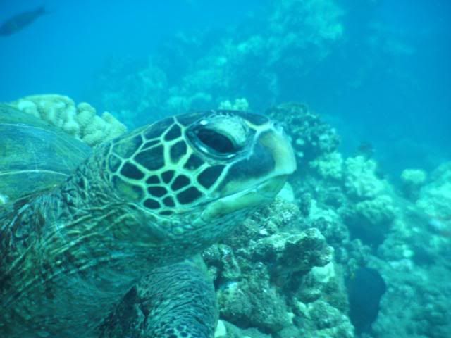 PICT0021.jpg