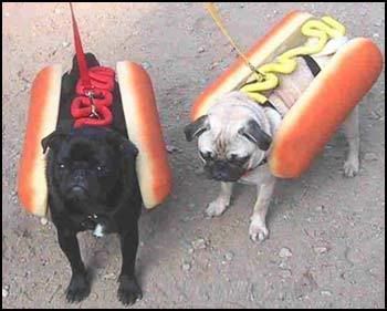 Hot Dogs Pictures, Images and Photos
