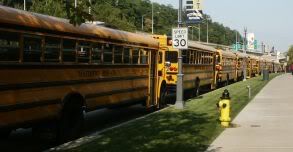 Line of Buses