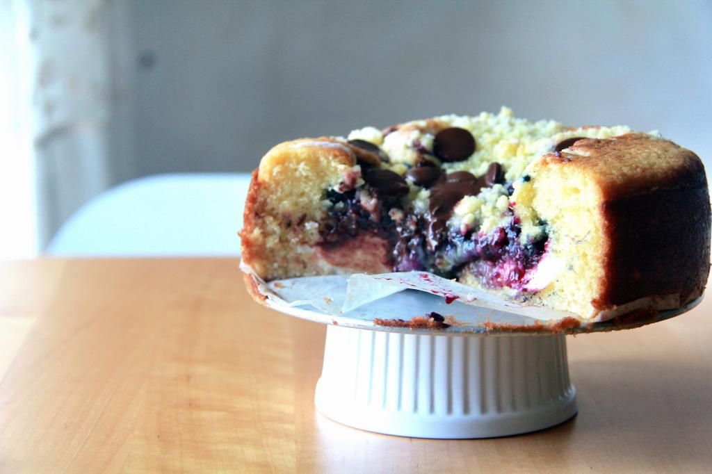 dessert / tea cake - dark chocolate blueberry cream cheese coffee cake