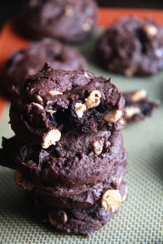 snack / dessert - double chocolate double peanut butter cookies
