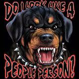 Rottweiller Pictures, Images and Photos