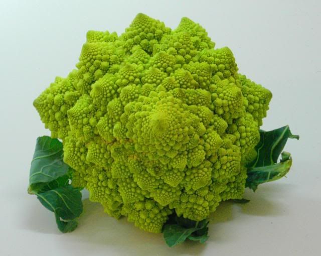 romanesco Pictures, Images and Photos