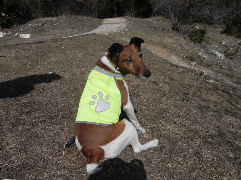 DSCN0123.jpg