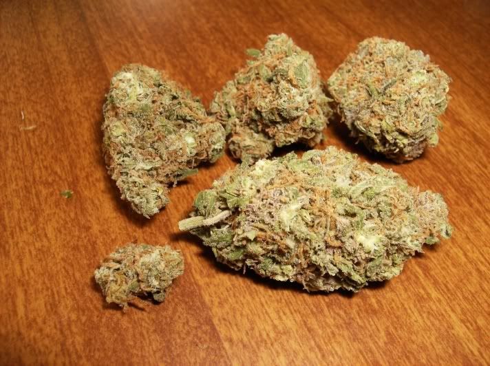 Purple+trainwreck+weed