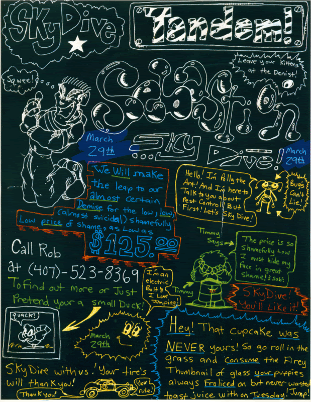 flyer.gif Sky dive Flyer image by Randompsionic